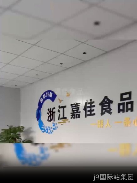 视频标题